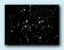 M 41.jpg